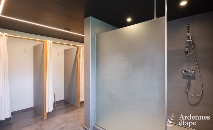 Exceptional gte with superb private wellness centre and swimming pool in Vaux -sur - Sre