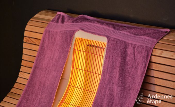 Exceptional gte with superb private wellness centre and swimming pool in Vaux -sur - Sre