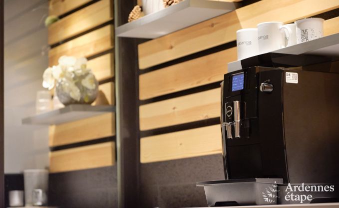 Exceptional gte with superb private wellness centre and swimming pool in Vaux -sur - Sre