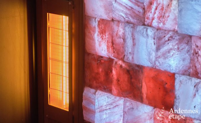 Exceptional gte with superb private wellness centre and swimming pool in Vaux -sur - Sre