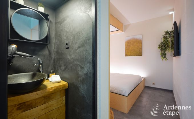 Exceptional gte with superb private wellness centre and swimming pool in Vaux -sur - Sre