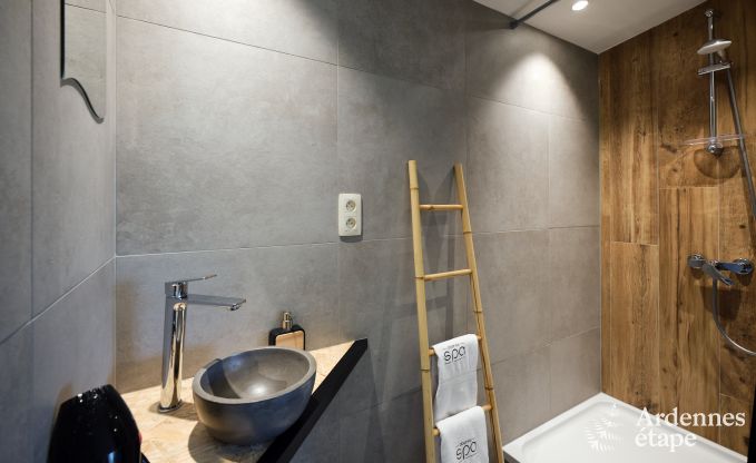 Exceptional g�te with superb private wellness centre and swimming pool in Vaux -sur - S�re