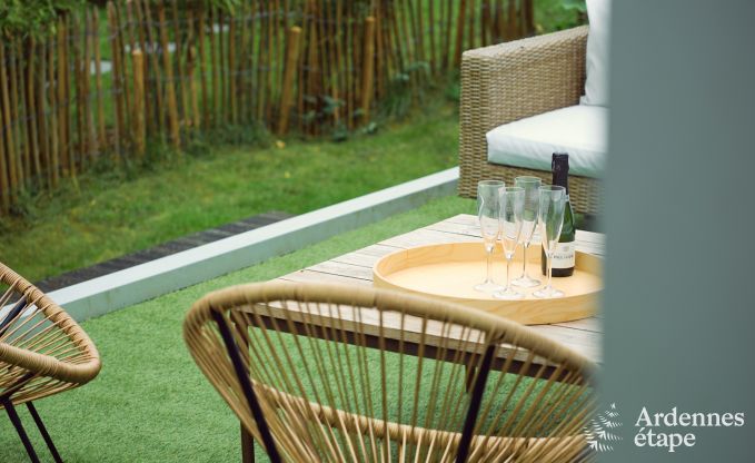 Exceptional g�te with superb private wellness centre and swimming pool in Vaux -sur - S�re