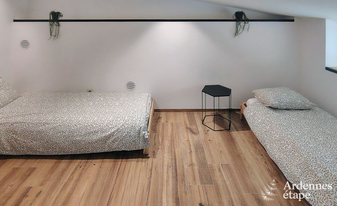 Exceptional g�te with superb private wellness centre and swimming pool in Vaux -sur - S�re