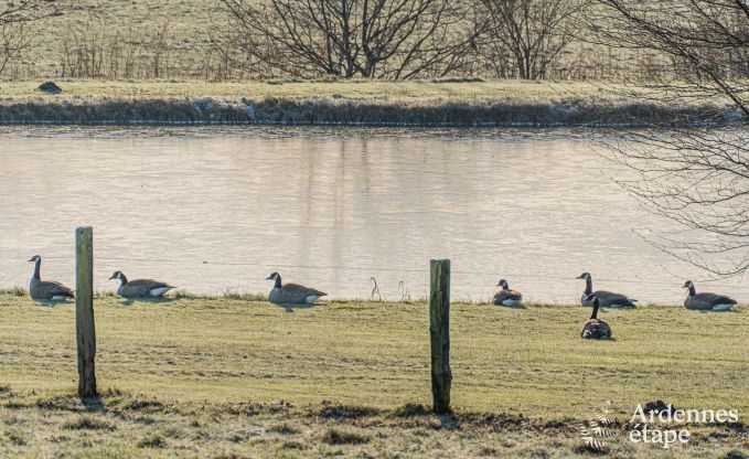 Holiday cottage in Vaux-sur-S�re for 8 persons in the Ardennes