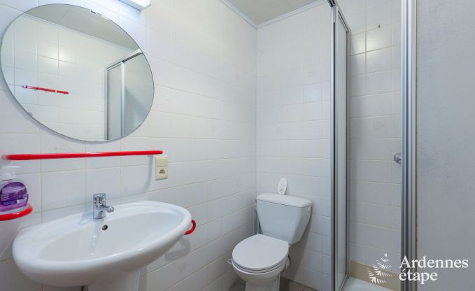 Holiday on a farm in Vaux-sur-S�re for 22 persons in the Ardennes