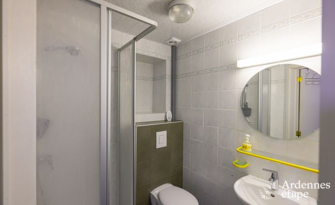 Holiday on a farm in Vaux-sur-S�re for 22 persons in the Ardennes