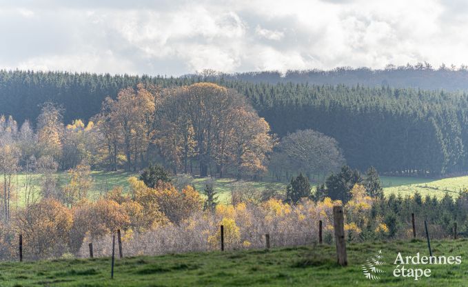 Chalet in Vencimont for 10 persons in the Ardennes