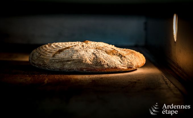 Holiday cottage in Vencimont for 8 persons in the Ardennes