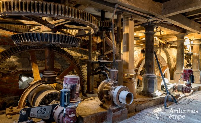 Holiday cottage in Vencimont for 17 persons in the Ardennes