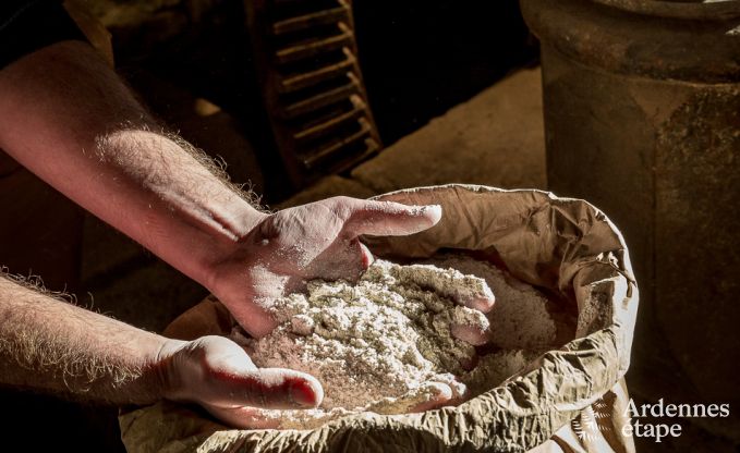 Holiday cottage in Vencimont for 17 persons in the Ardennes