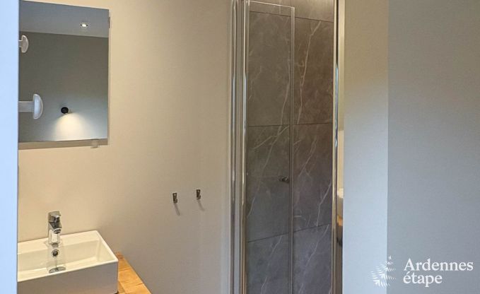 Spacious holiday home for 20 people in Vencimont with 9 bathrooms, sauna, infrared cabin, playroom and private garden in the Ardennes