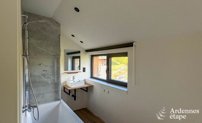 Spacious holiday home for 20 people in Vencimont with 9 bathrooms, sauna, infrared cabin, playroom and private garden in the Ardennes