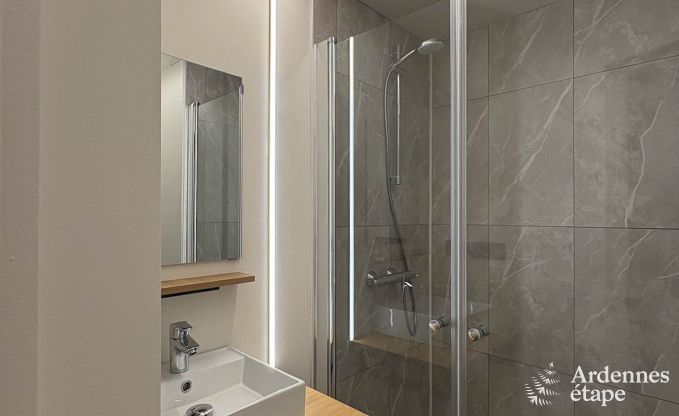 Spacious holiday home for 20 people in Vencimont with 9 bathrooms, sauna, infrared cabin, playroom and private garden in the Ardennes