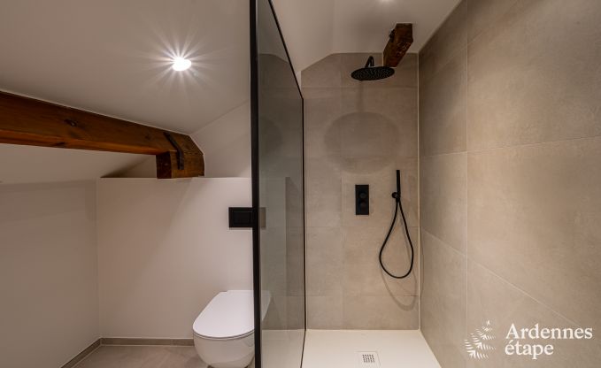 Comfortable chalet in Vencimont for 10 people with modern amenities and private garden in the Ardennes