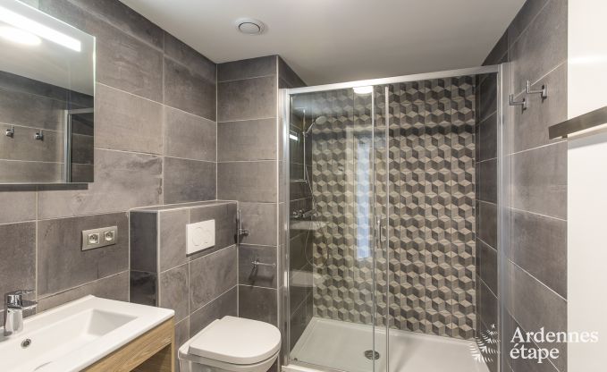 Holiday cottage in Vencimont for 40 persons in the Ardennes