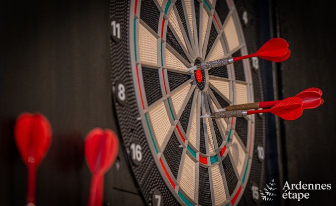 Holiday home in Vencimont, Ardennes, 12 people, 4 bedrooms, private sauna, billiards, garden by the water