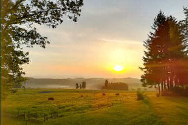 Chalet in Vielsalm for 4/5 persons in the Ardennes