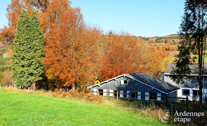 Comfortable holiday home for 13/14 people in Vielsalm