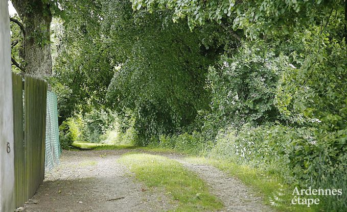 Holiday cottage in Vielsalm for 27 persons in the Ardennes