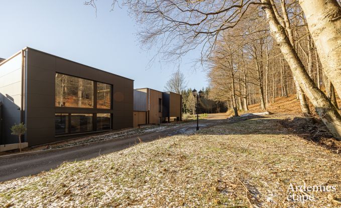 Holiday home for 9 people in Vielsalm, Ardennes