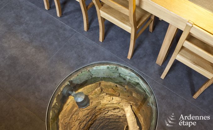 Holiday cottage in Vielsalm for 22 persons in the Ardennes