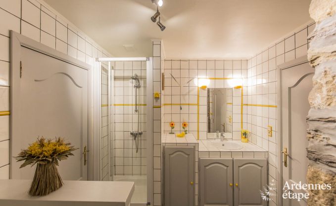 Holiday cottage in Vielsalm for 12 persons in the Ardennes