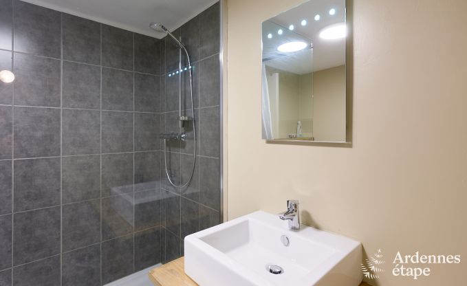 cozy holiday home with 5 bedrooms, jacuzzi, sauna and private garden in Vielsalm Ardennes