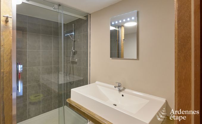 cozy holiday home with 5 bedrooms, jacuzzi, sauna and private garden in Vielsalm Ardennes