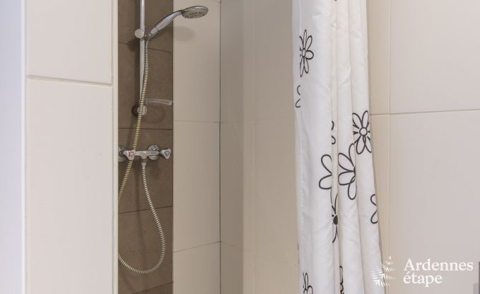 Large luxury villa in Vielsalm for 26 persons in the Ardennes