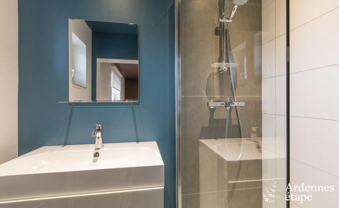 Large luxury villa in Vielsalm for 26 persons in the Ardennes