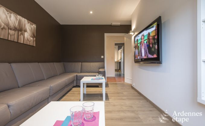 Large luxury villa in Vielsalm for 26 persons in the Ardennes