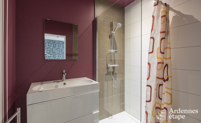 Large luxury villa in Vielsalm for 26 persons in the Ardennes