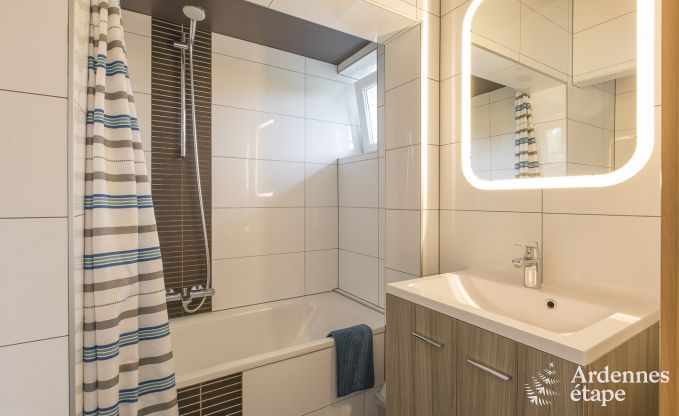 Large luxury villa in Vielsalm for 26 persons in the Ardennes