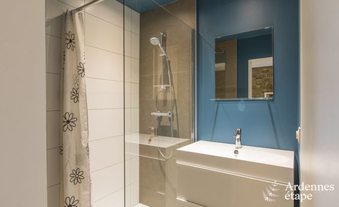 Large luxury villa in Vielsalm for 26 persons in the Ardennes