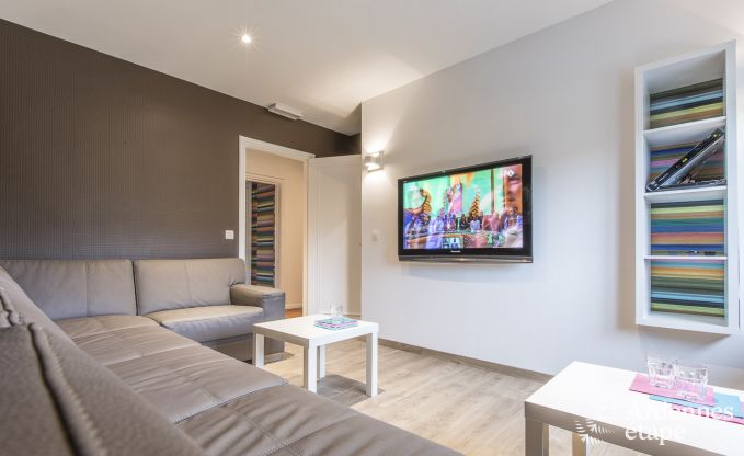 Large luxury villa in Vielsalm for 26 persons in the Ardennes