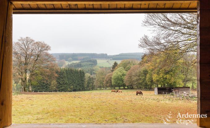 Chalet in Vielsalm for 7 persons in the Ardennes