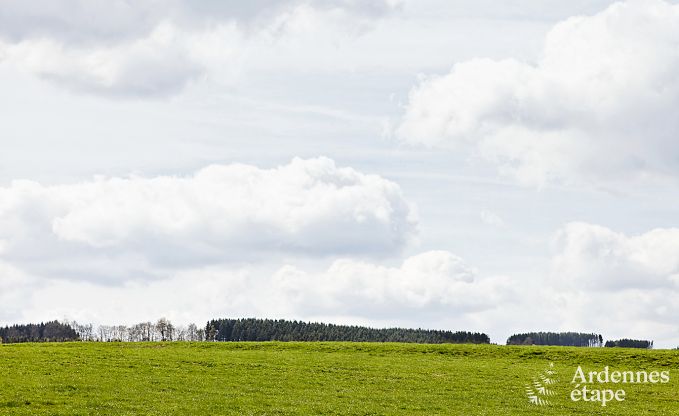 Holiday cottage in Vielsalm for 27 persons in the Ardennes