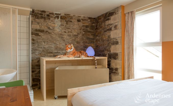 Villa with swimming pool and wellness in Vielsalm for 31 persons in the Ardennes