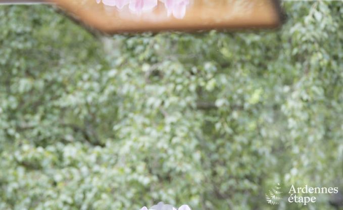 Luxury villa in Vielsalm for 21 persons in the Ardennes