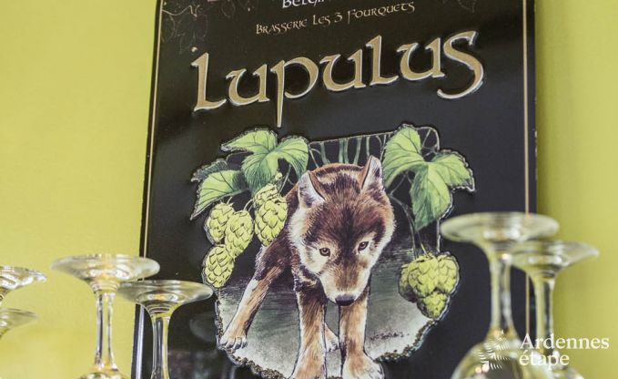 Luxury villa in Vielsalm for 21 persons in the Ardennes