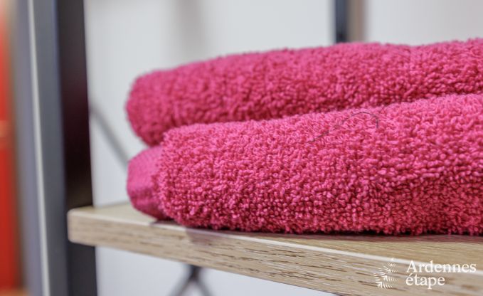 Holiday cottage in Vierves-sur-Viroin for 18/20 persons in the Ardennes