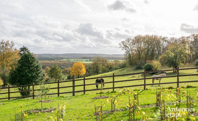 Unforgettable stay in Villers-en-Fagne: Holiday home with sauna, jacuzzi and breathtaking view in the Ardennes.