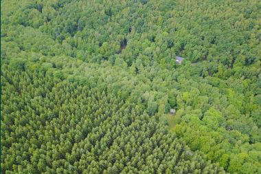 Chalet in Viroinval for 9 persons in the Ardennes