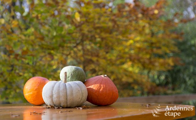Chalet in Viroinval for 6 persons in the Ardennes
