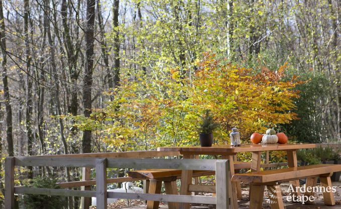 Chalet in Viroinval for 6 persons in the Ardennes