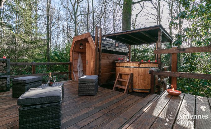 Chalet in Viroinval for 4/6 persons in the Ardennes