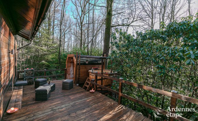 Chalet in Viroinval for 4/6 persons in the Ardennes