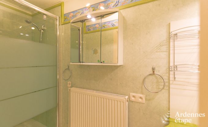 Apartment in Vresse-sur-Semois for 4 persons in the Ardennes