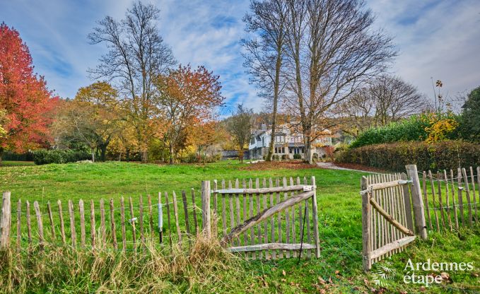 Enchanting stay in the Ardennes: castle in Vresse-sur-Semois with pool, 8 bedrooms for 15 people